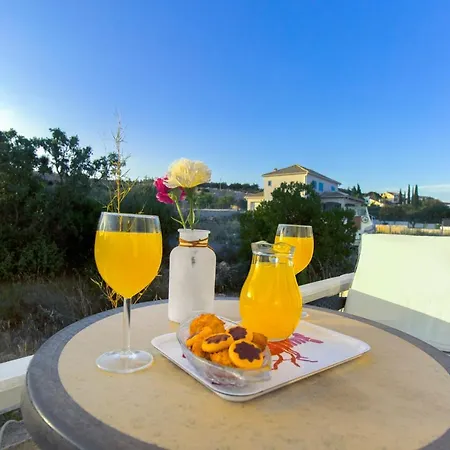 The Whitehouse Brodarica (Sibenik-Knin)